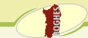 logo Boghes